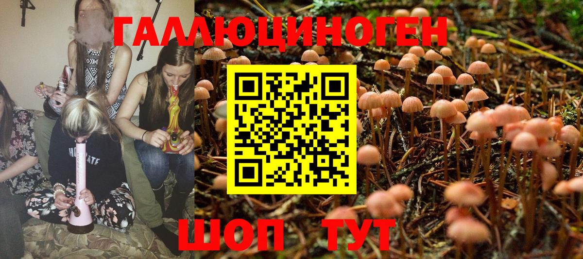 Псилоцибиновые грибы MAGIC MUSHROOMS  Вход с VPN  Галлюциногенные грибы Psilocybe  Салават 