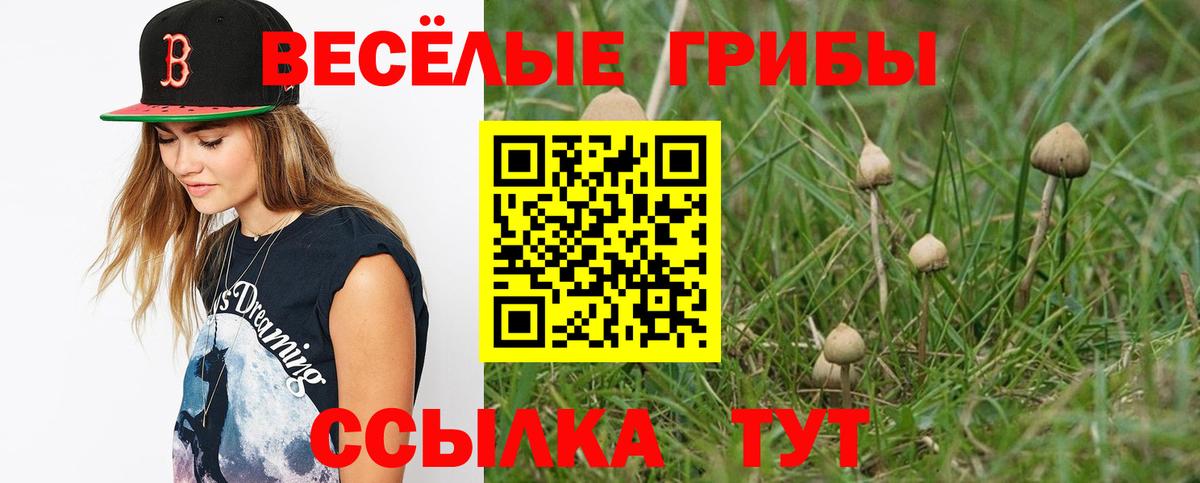 Псилоцибиновые грибы GOLDEN TEACHER Салават